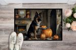 NEW Belgian Tervuren Fall Kitchen Pumpkins Doormat Front Door Mat Indoor Outdoor Rugs for Entryway, Non Slip Washable Low Pile, 18H X 27W