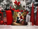 Newfoundland and Santa Claus Throw Pillow Machine Washable, Indoor Outdoor Decorative Pillow for Couch, Bed or Patio, 14Hx14W